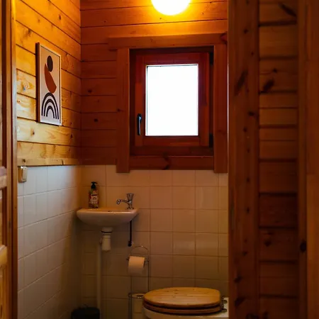 Huisdiervriendelijk Houten Huisje In Het Groen