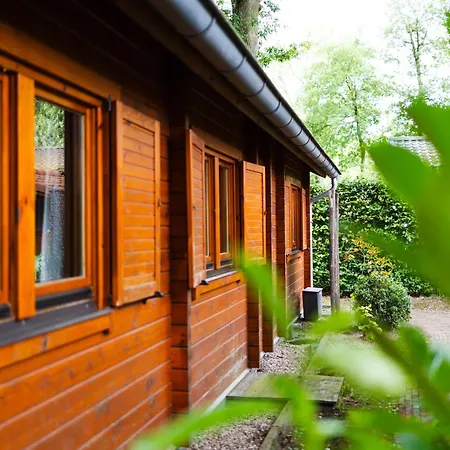 Huisdiervriendelijk Houten Huisje In Het Groen * Epe