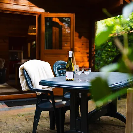 Huisdiervriendelijk Houten Huisje In Het Groen Holiday home *