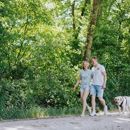 Huisdiervriendelijk Houten Huisje In Het Groen * Epe