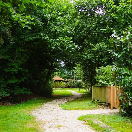 Holiday home Huisdiervriendelijk Houten Huisje In Het Groen