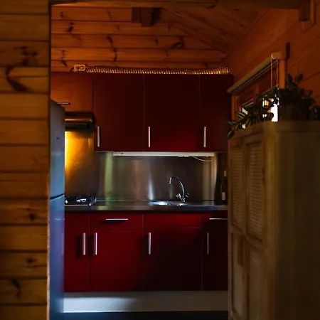 Huisdiervriendelijk Houten Huisje In Het Groen Holiday home *